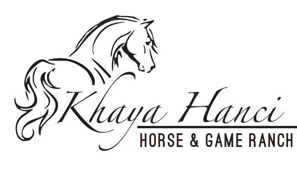 Khaya Hanci | Horse & Game Farm Experience in Limpopo, South Africa